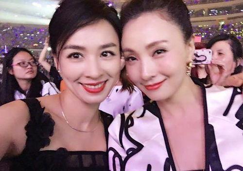 张婷爆料陶虹视频大全最新,张婷揭露惊人内幕